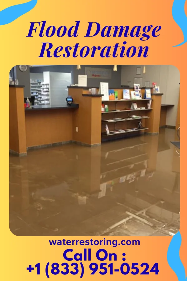 Flood Damage Restoration in Royal Oak, MI